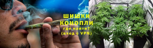 молекула духа Нефтекумск