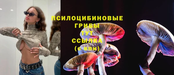 молекула духа Нефтекумск
