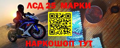 Альфа ПВП Гатчина