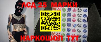 Альфа ПВП Гатчина