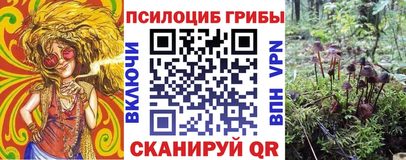 Галлюциногенные грибы Magic Shrooms  хочу наркоту  Муром 