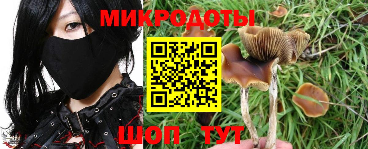 Псилоцибиновые грибы прущие грибы  Вход с VPN  Муром  Псилоцибиновые грибы Psilocybe 