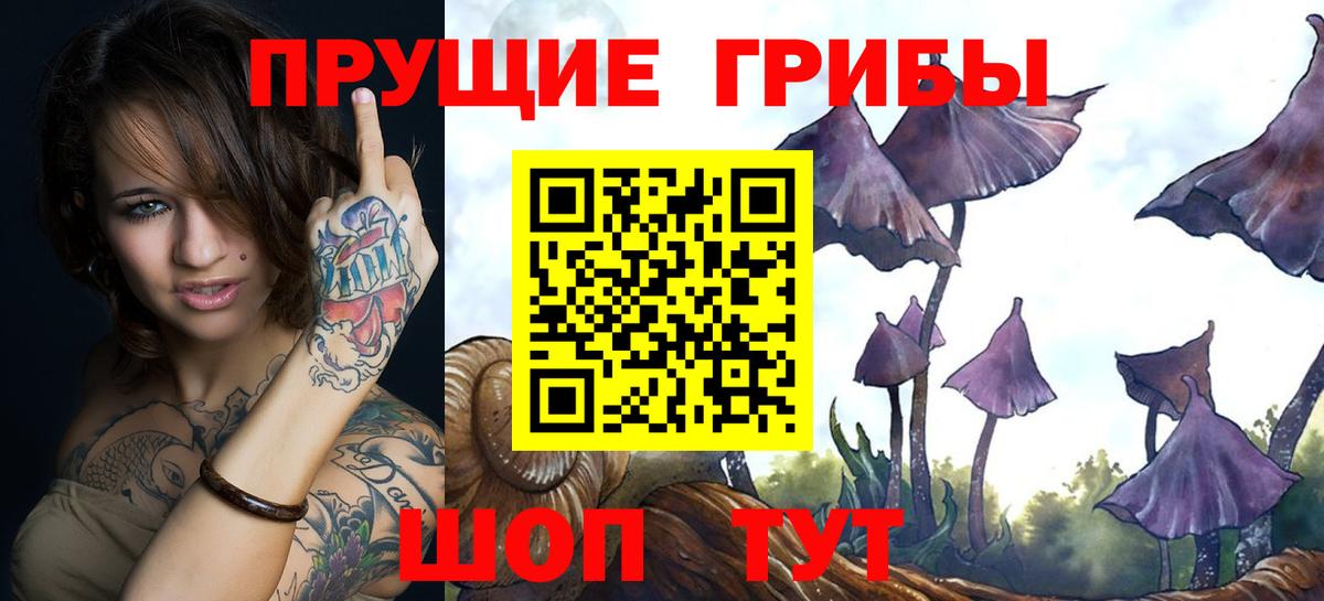 Галлюциногенные грибы мицелий Муром